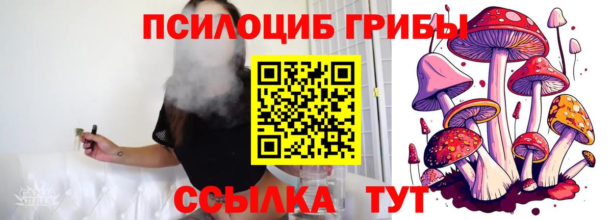 Псилоцибиновые грибы Psilocybine cubensis Скопин